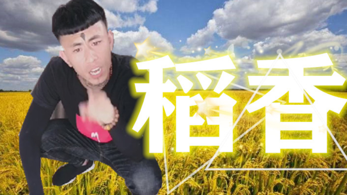 【老八】稻香